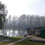 Детаљ из Вишњићева: река Босут, јесењи пејзаж